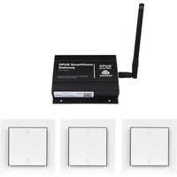Aanbieding OPUS Gateway + OPUS EasyStart Rolluik Schakelaars - 4028232452998